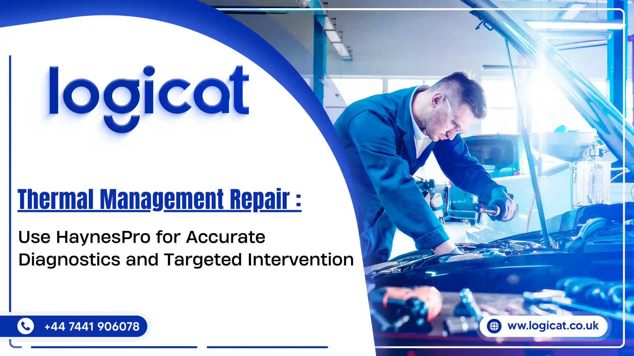 Thermal Management System Repair : Use HaynesPro for Accurate Diagnostics