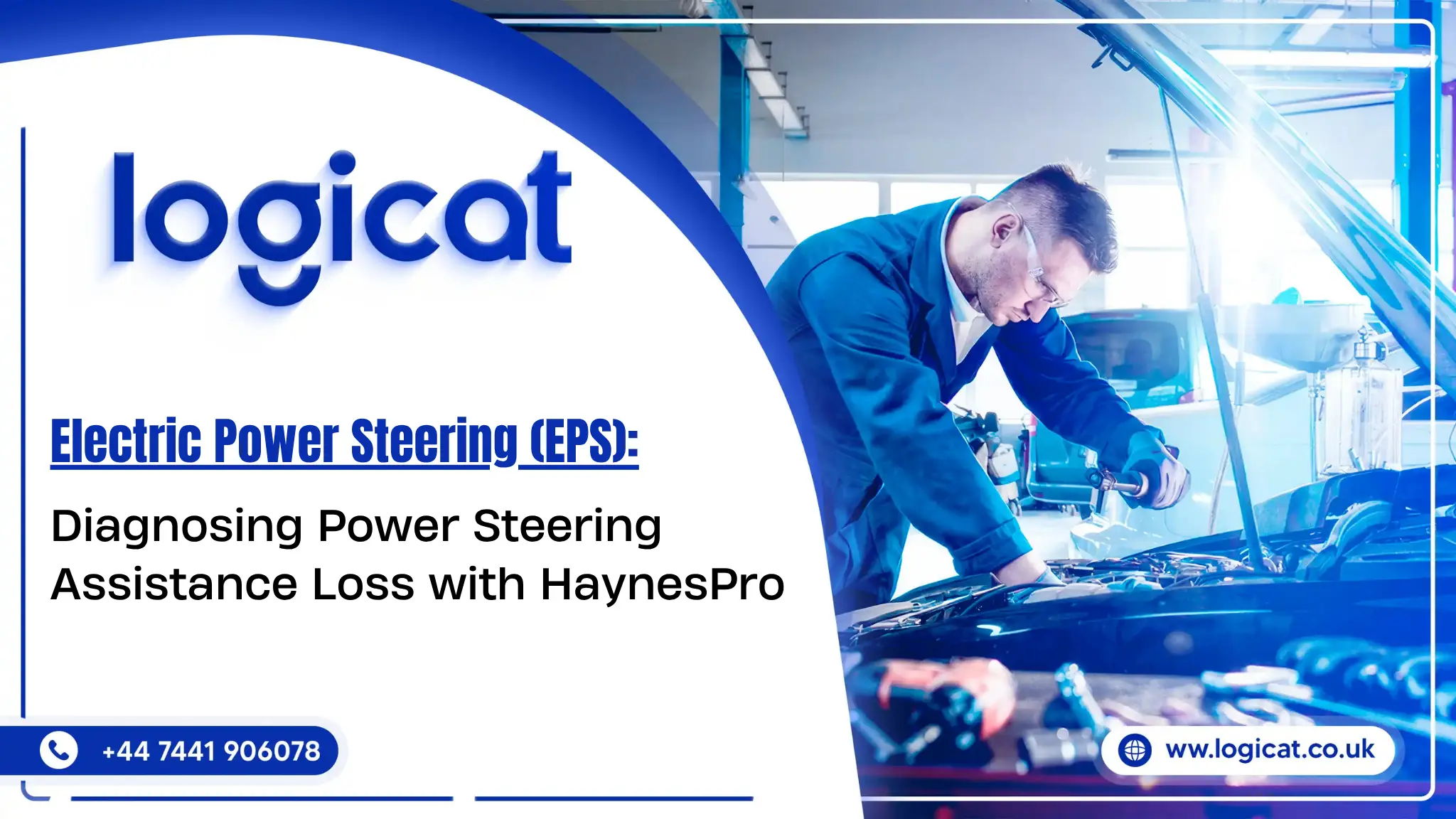 Electric Power Steering (EPS)